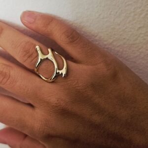 Anillo irregular