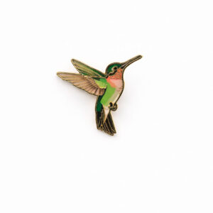 Pin Colibrí colores - Verde